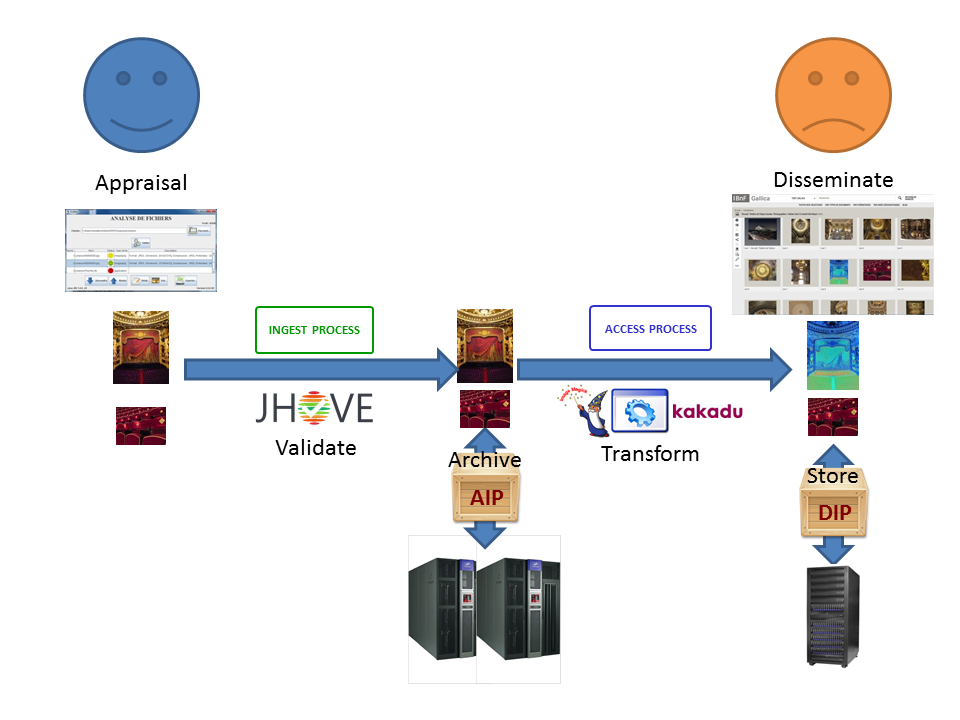 Schema of the overall workflow