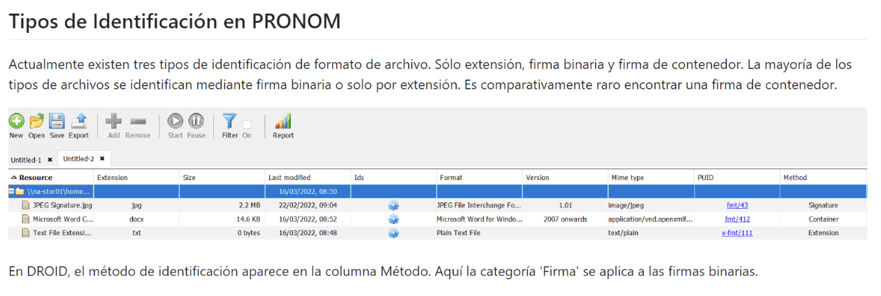 Extract from the Paquete de inicio, a resource translated from the PRONOM Starter Pack